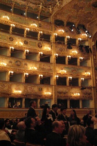 The boxes at Teatro la Fenice. 